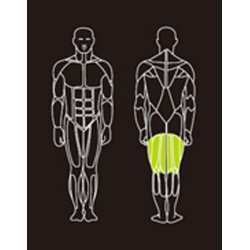 Proteus PROS-302 horizontal leg curl