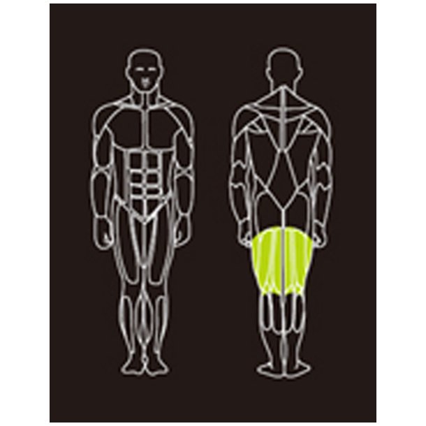 Proteus PROS-302 horizontal leg curl